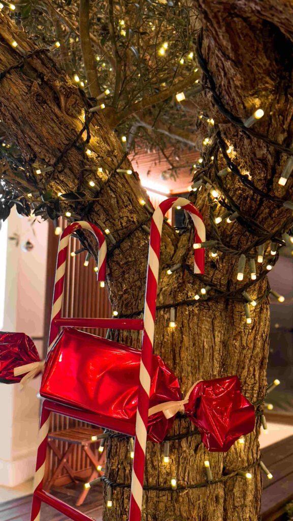 Decoração de Natal na Quinta do Alferes de Crasto